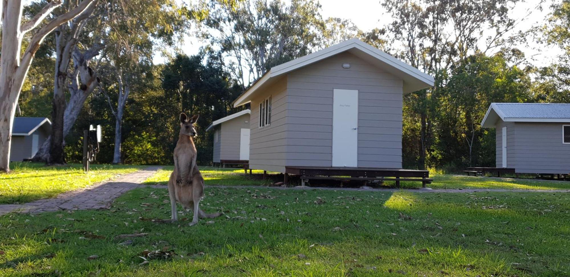 Kangarooms Noosa Everglades Cootharaba Exterior photo